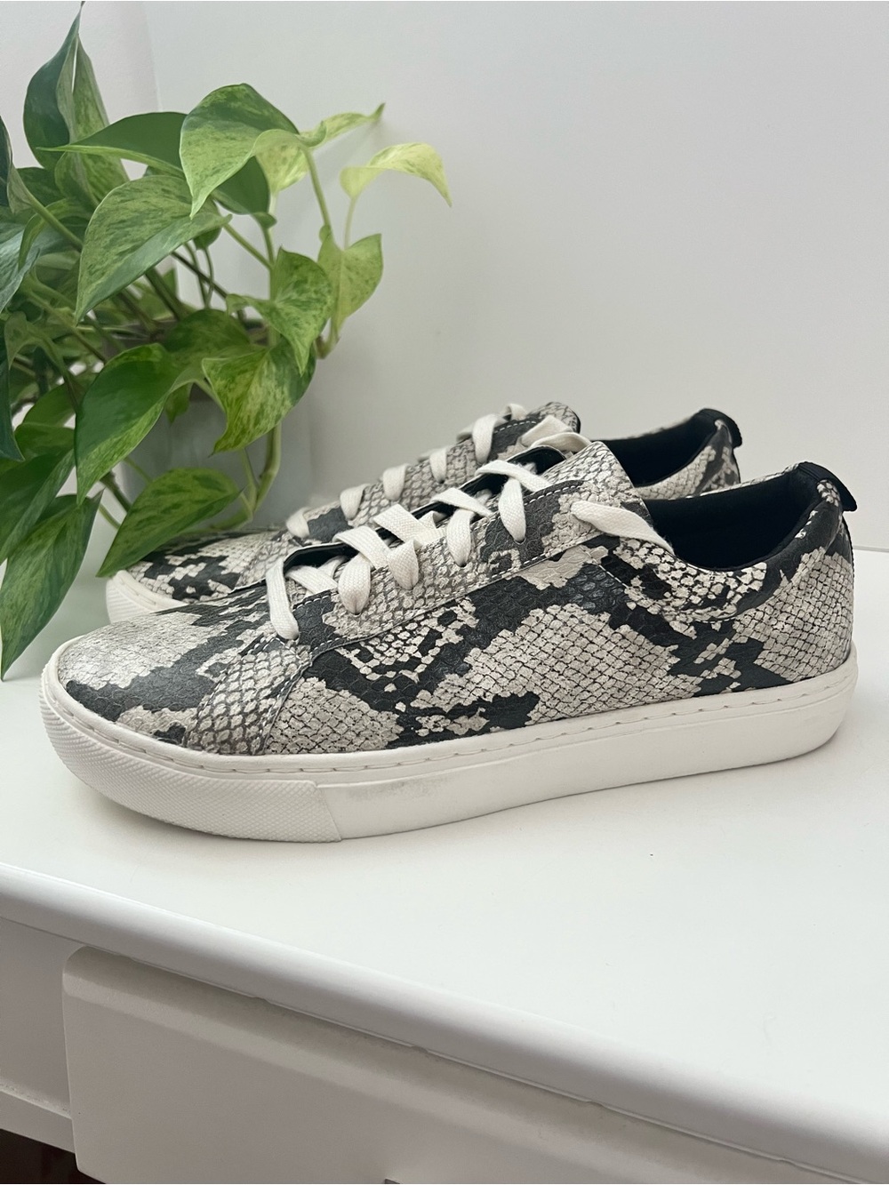 NEW Dr Sholl’s Snakeskin No Bad Vibes Lace Up Sneakers, Size 9